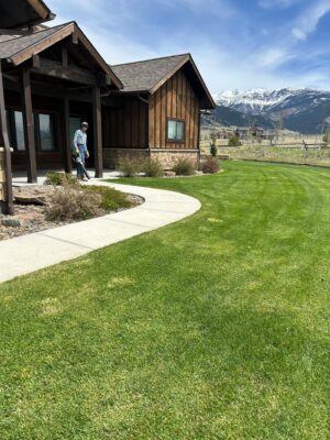 landscape maintenance
