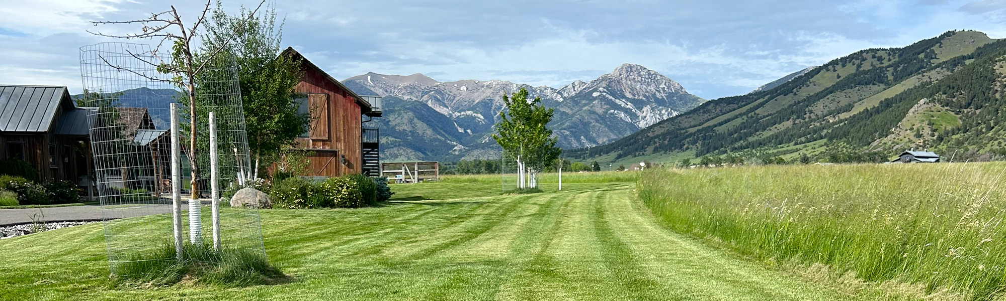 Montana Landscape Contractors - Lawn Maintenance