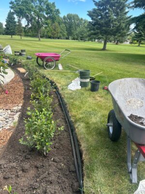 Landscape Construction