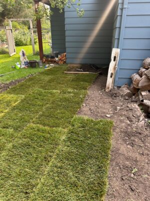 Sod and Hydroseeding