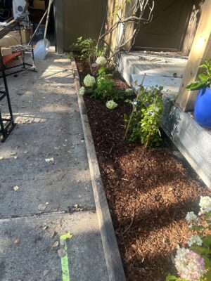 landscape maintenance - mulching