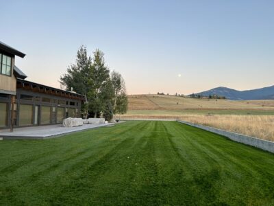 Lawn care and mowing