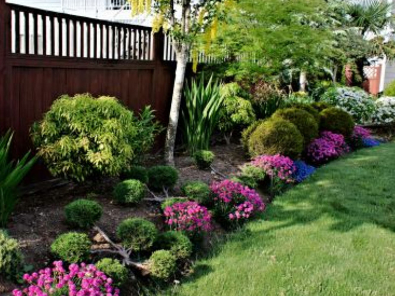 Lawn & Garden Maintenance