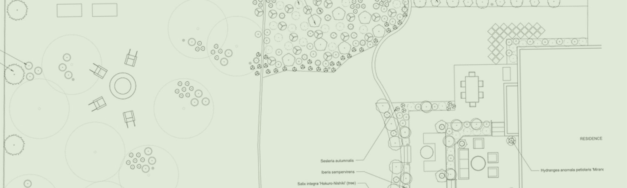 landscape design