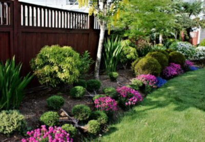 Garden Bed Maintenance 