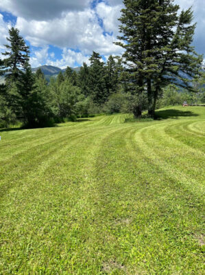Lawn care and mowing
